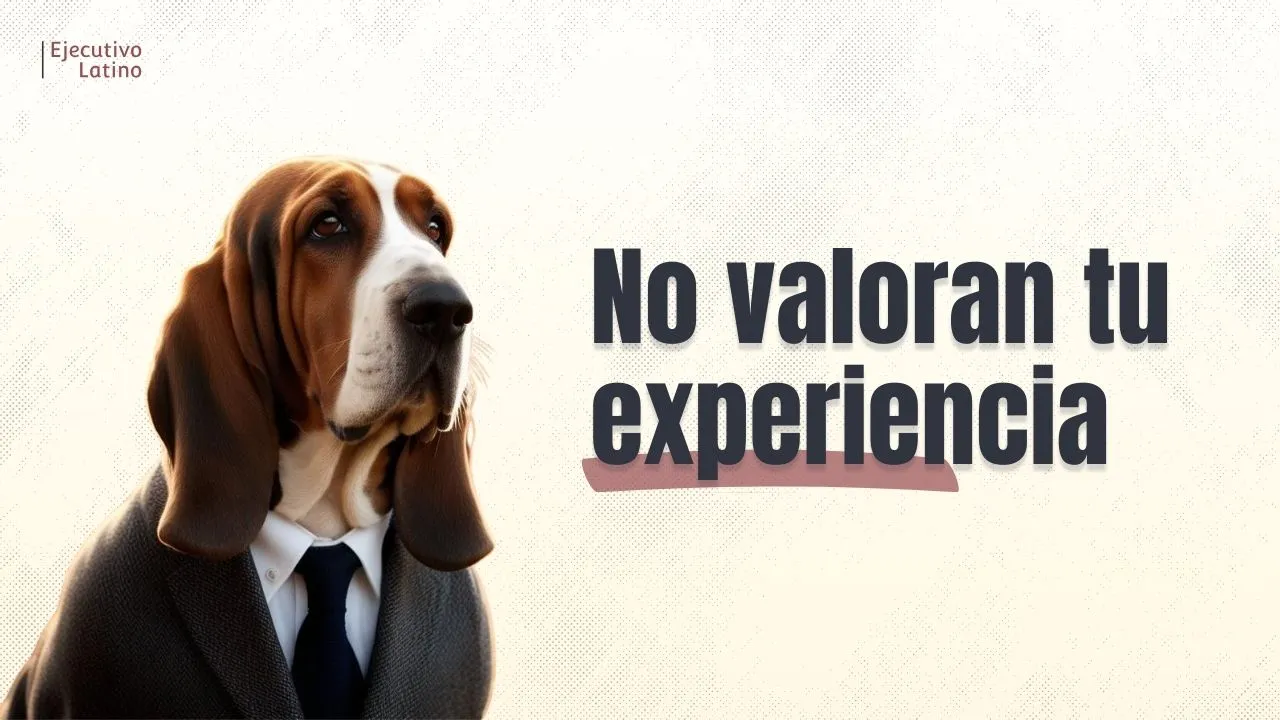 Imagen principal del blogExperiencia en el CV. Lo que busca un reclutador